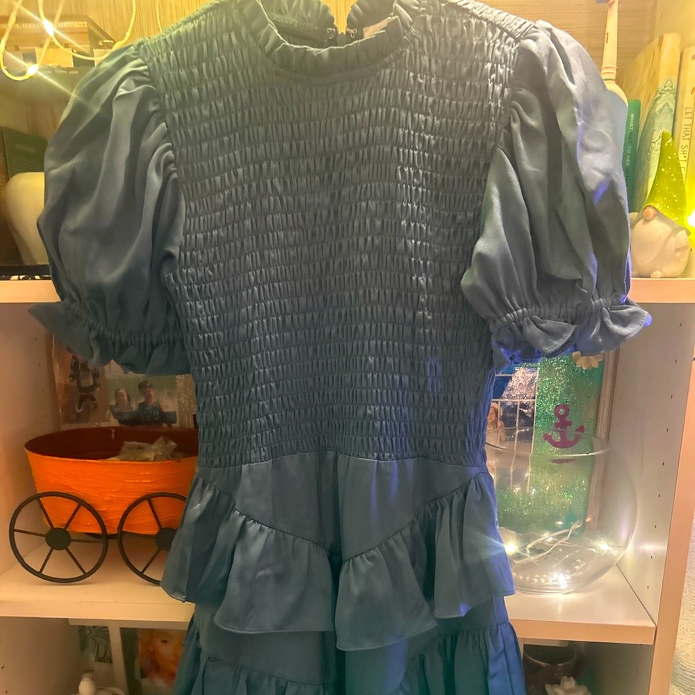 Brand New Designer Smocked Blue Dress with Puff Sleeves